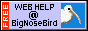 Link to bignosebird.com